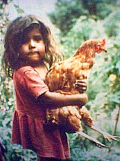 Small girl with large hen