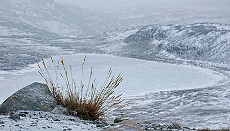 Kangerlussuaq